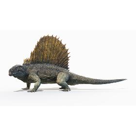 Dimetrodon Animated 3D model